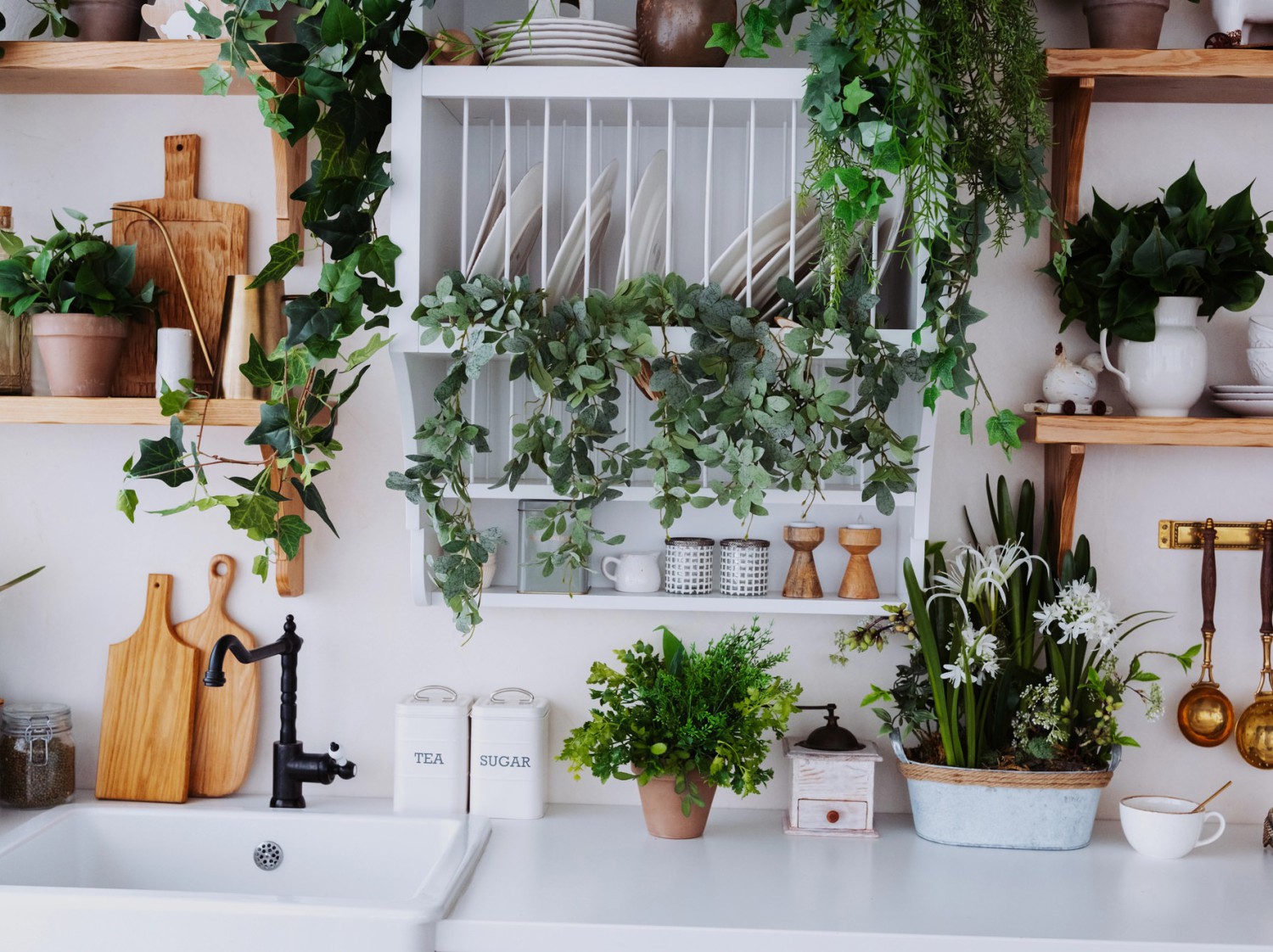 Maison biophilique : améliorer sa qualité de vie