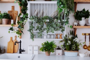 Maison biophilique : améliorer sa qualité de vie