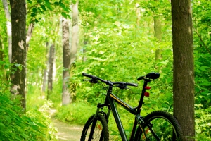 7 pistes de vélo incontournables au Québec