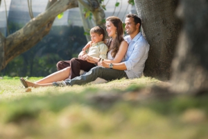 Do Trees Enhance a Property’s Perceived Value?