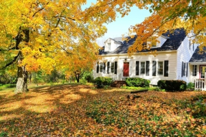 Buying a Country Home: A Worthwhile Investment or Not?