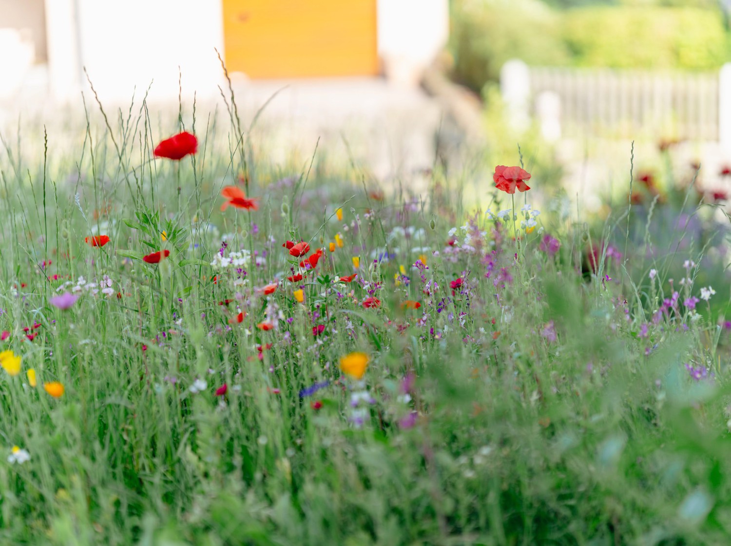 Les tendances de jardin qui sont là pour rester