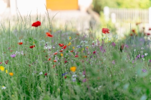Les tendances de jardin qui sont là pour rester