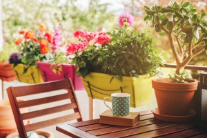 How to Make Your Condo’s Balcony Feel More Private?