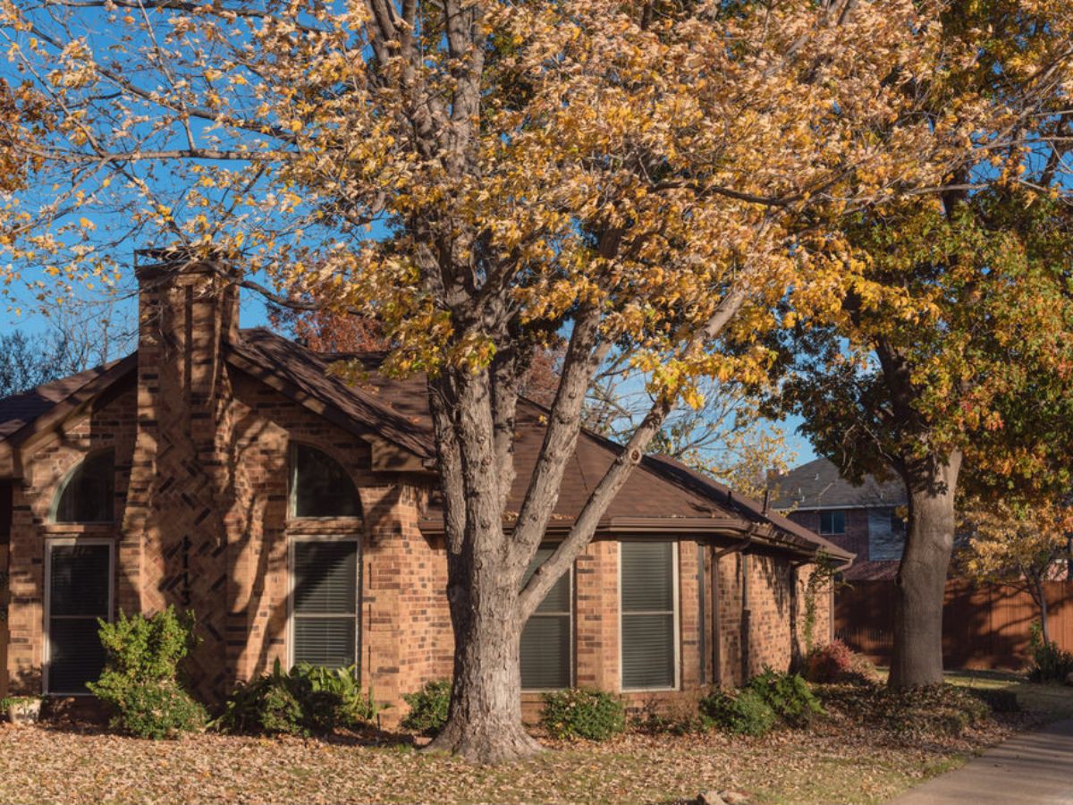 Il est aussi important d’observer l’état des arbres qui encerclent votre propriété. Des branches fragilisées peuvent causer des dommages lorsque le froid se pointera le bout du nez.