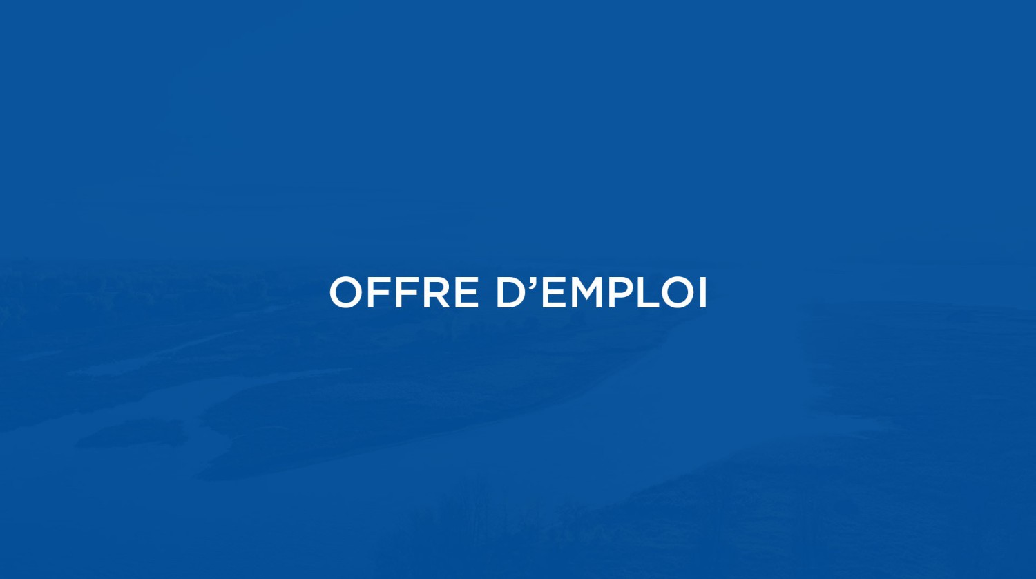 Poste adjoint.e à la réception - Temps plein (8h par jour)